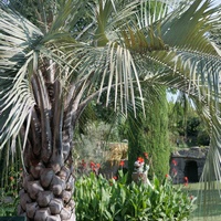 Photo de France - Le Jardin de Saint-Adrien : une oasis de verdure